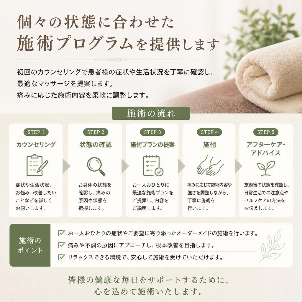 施術プログラムの概要